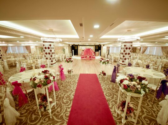 ASMİNA DAVET VE BALO SALONU