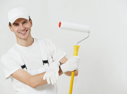 İZMİR BOYA BADANA HİZMETİ