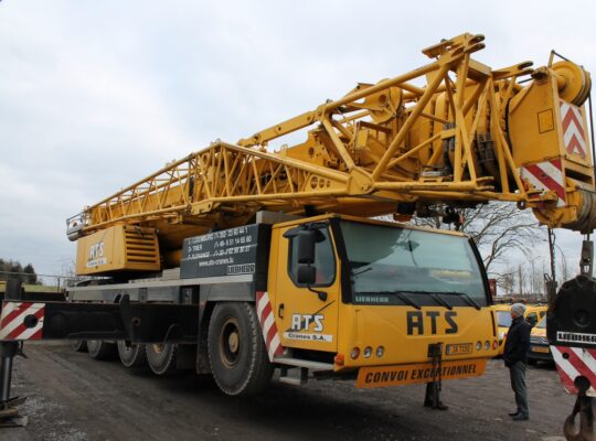 200 TONLUK MOBİL VİNÇ