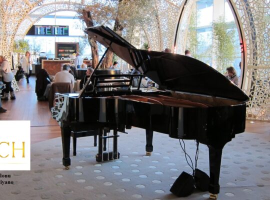 İSTANBUL PİYANO KİRALAMA