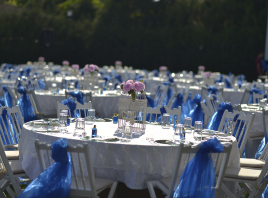 LA TERRA KIR DÜĞÜNÜ