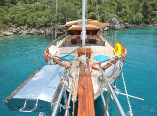 POİNTER EL DEDEKTÖRLERİ KİRALAMA