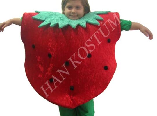 Kiralık Her Türlü Kostümler