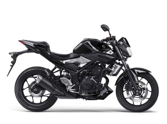 YAMAHA MT-25 MOTOSİKLET