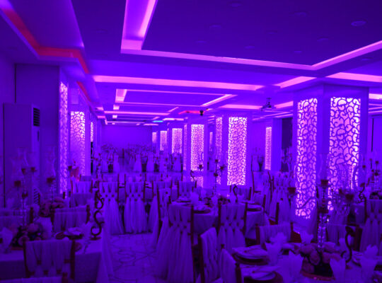 Avcılar,Büyükçekmece Orkide Düğün Salonları
