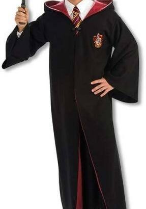 Harry Potter Kostümü