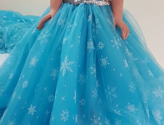 Elsa Kostümü