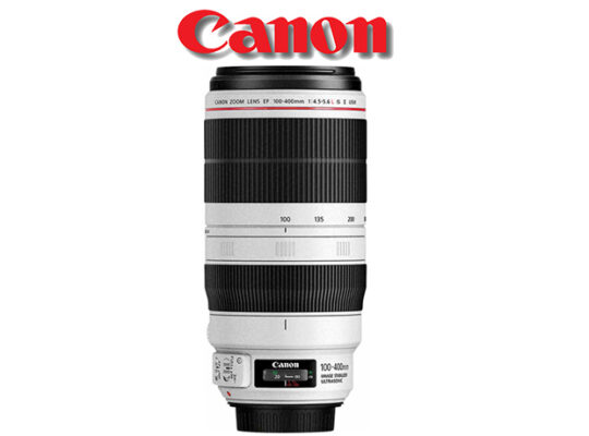 Canon EF 100-400mm f/4.5-5.6L IS USM KİRALIK