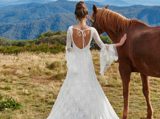 NEW SEASON- Francis Gelinlik Kiralama