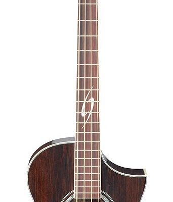 Ibanez EWB20WNE-NT Akustik Bas Gitar Kiralama