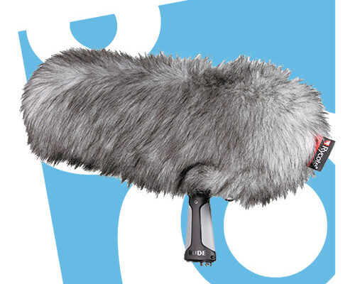 Kiralık Rode Ntg-2 Boom Set