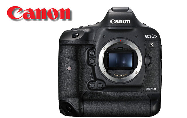 Canon EOS-1D X Mark 2 KİRALIK