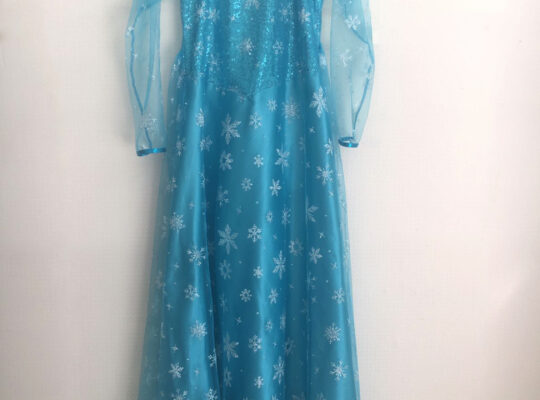 ELSA KOSTÜMÜ KİRALIK