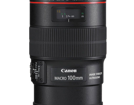 Canon EF 100mm f/2.8L Macro IS USM KİRALIK