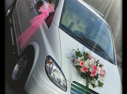 9+1 VIP MERCEDES VİTO