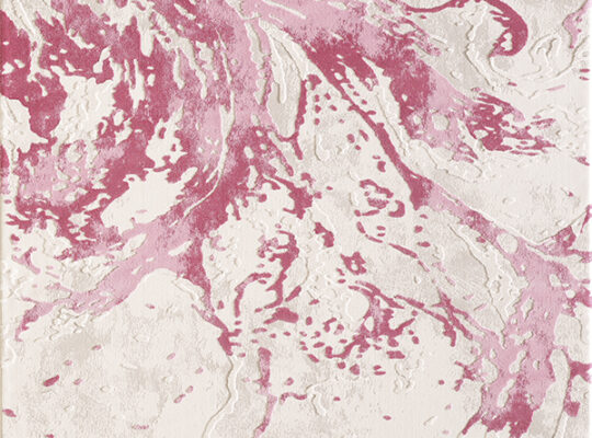 301 araç kiralık günlük veya haftalık gri renk