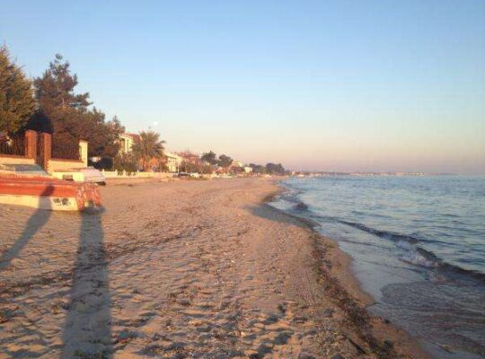 Tekirdağ Yenice Full Eşyalı Havuzlu Siteli Kiralık Yazlık