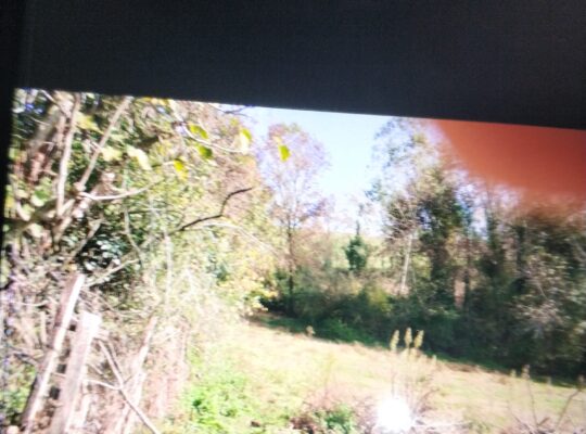 Kiralik 1900 metrekare arsa