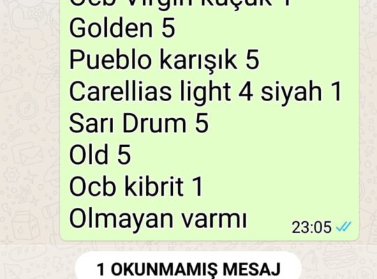 Aracımı kiraya vermek istiyorum