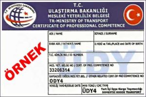 Kiralık Ody 3 Belgesi