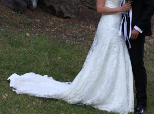 Kiralık Fransız Dantel Modern Gelinlik