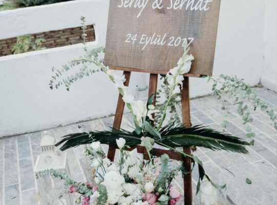 Kiralık Organizasyon Ekipmanları