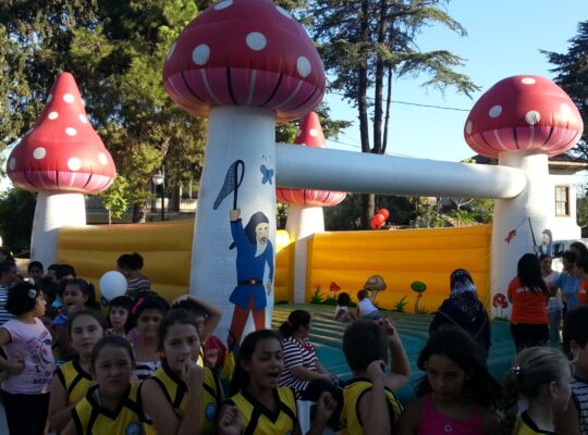 MANTAR ZIPZIP Kiralık