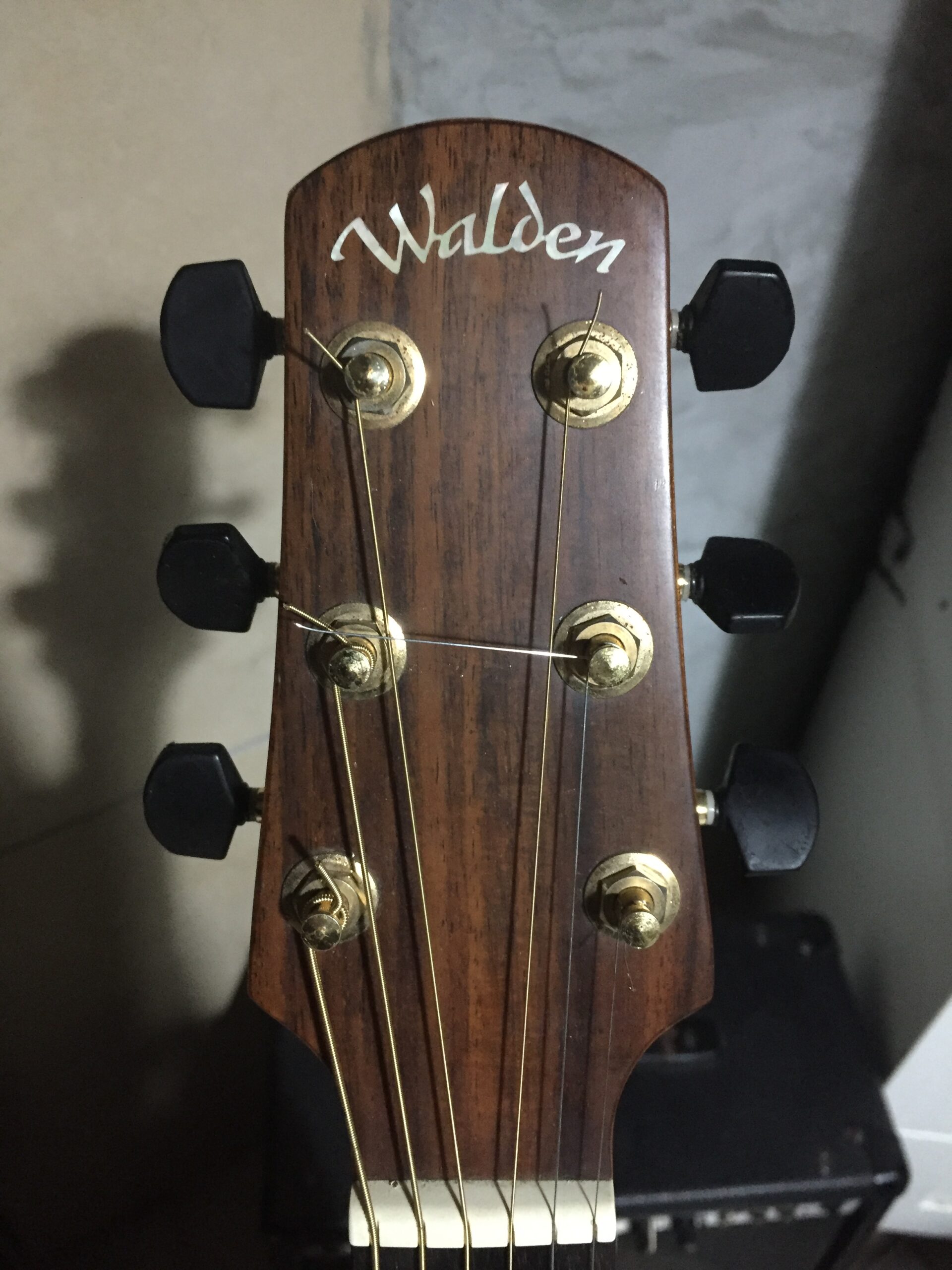 Walden Elektro Akustik Gitar