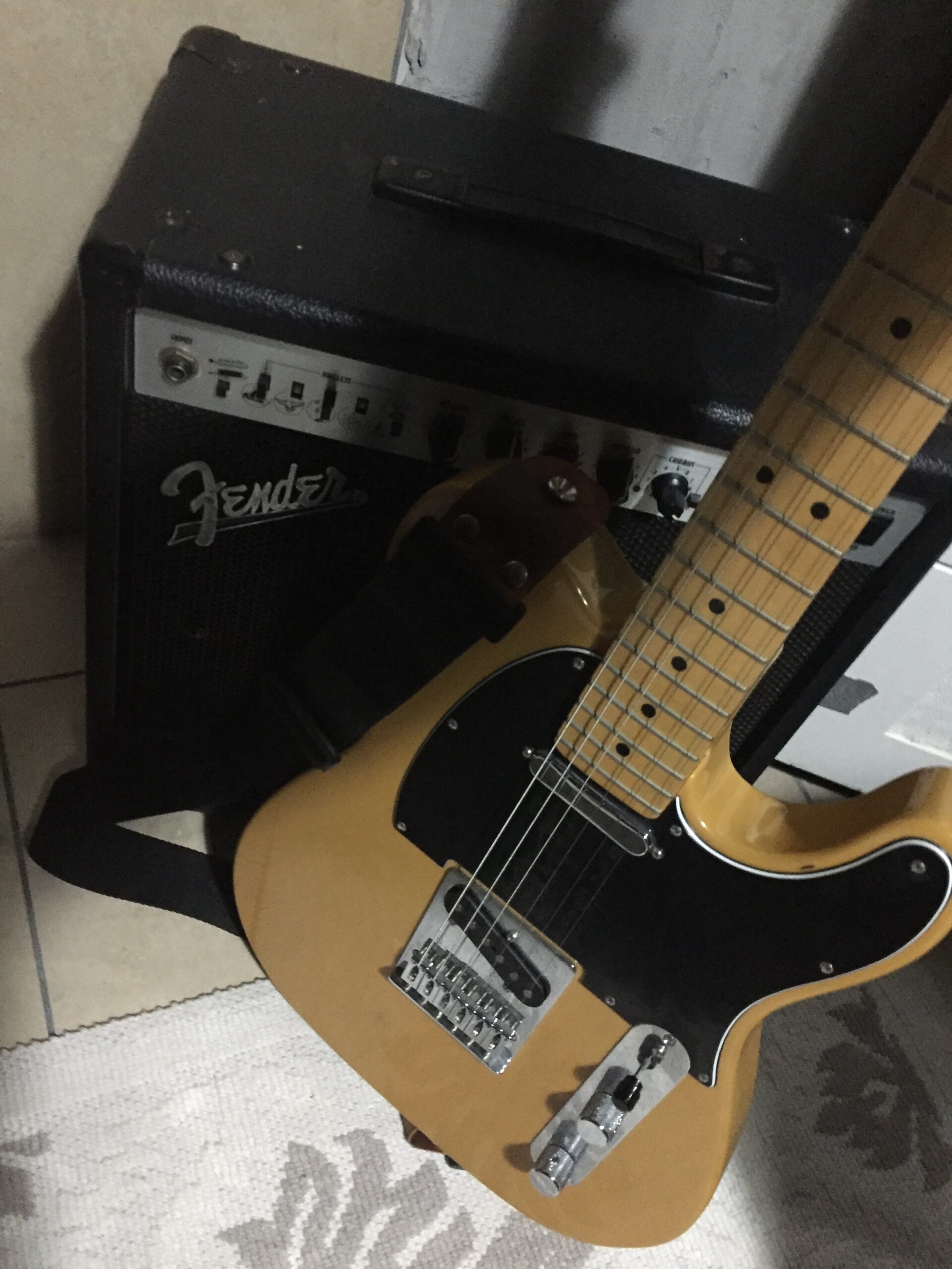 Fender Telecaster Ve Fender Mustang Amfi