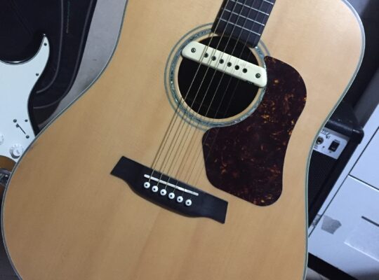 Walden Elektro Akustik Gitar