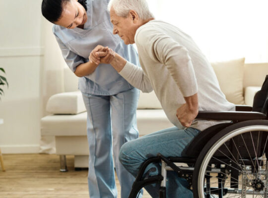 ordu çevresi hasta-yaşlı bakıcı bebek-çocuk bakıcı hizmeti