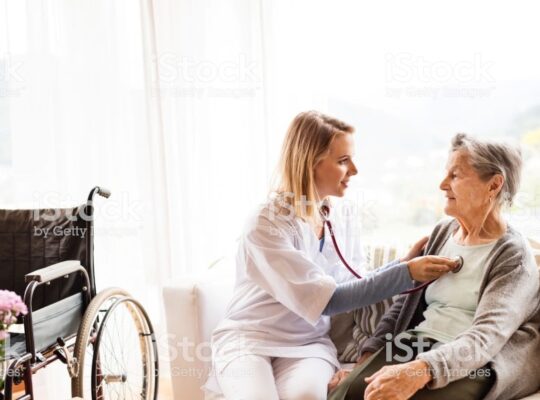 yalova çevresi hasta-yaşlı bakıcı bebek-çocuk bakıcı hizmeti