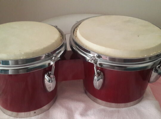 Bongo Kiralama Hizmeti