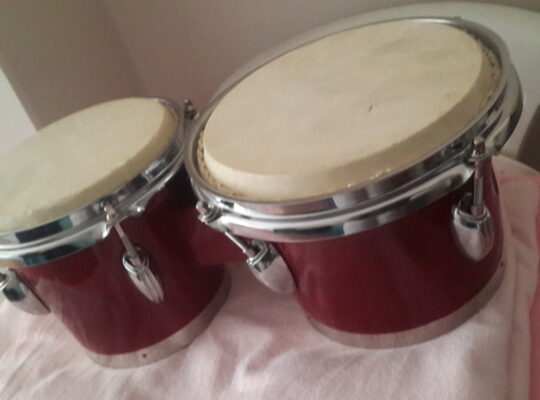 Bongo Kiralama Hizmeti