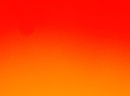 Usta öğretici aşçı diploması ve iş yeri açma belgemi kiralıyorum