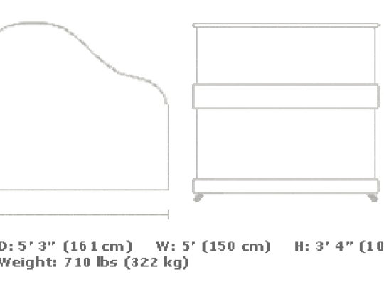 Wendl & Lung / F-161 Grand Piyano