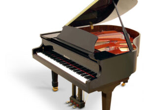 Wendl & Lung / F-161 Grand Piyano