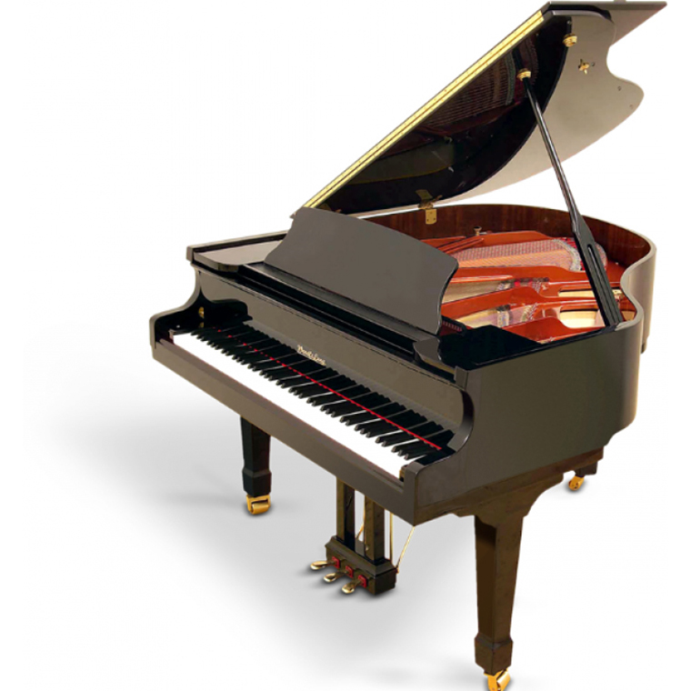 Wendl & Lung / F-161 Grand Piyano