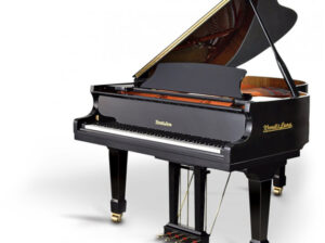 Wendl & Lung / F-178 Grand Piyano