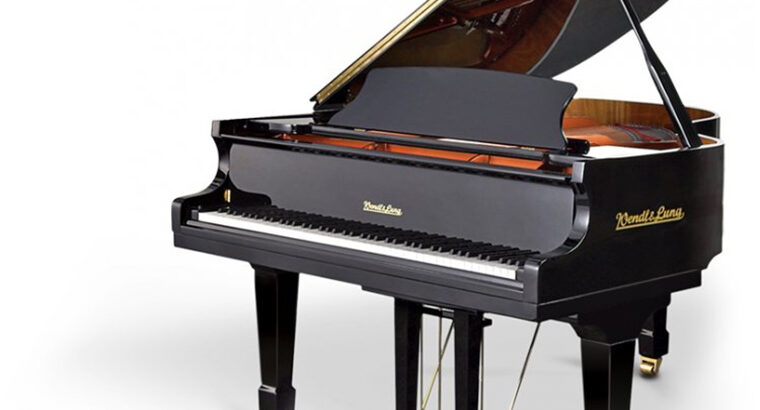 Wendl & Lung / F-178 Grand Piyano
