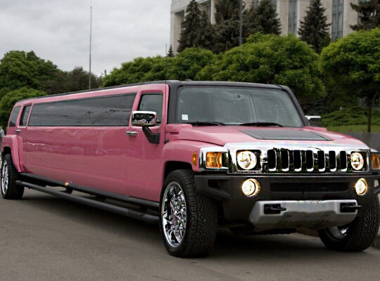 MOLTUR LİMUZİN KİRALAMA