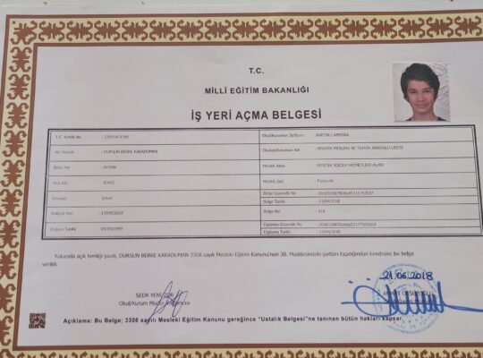 İş yeri açma ve usta öğretici belgesi