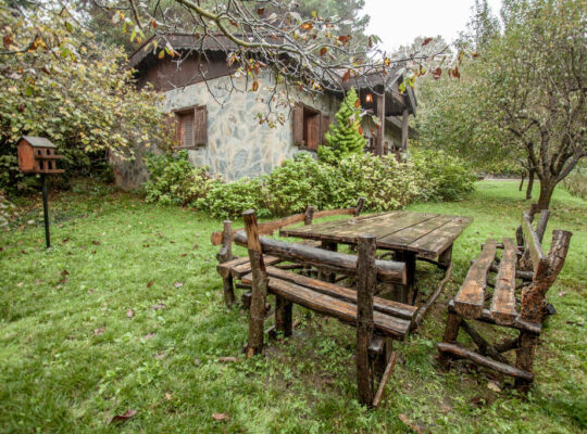 İstanbul Polonezköy’de Lüks Havuzlu Günlük Villa