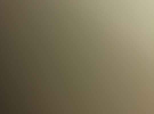 Aşçılık Belgem var iş arıyorum