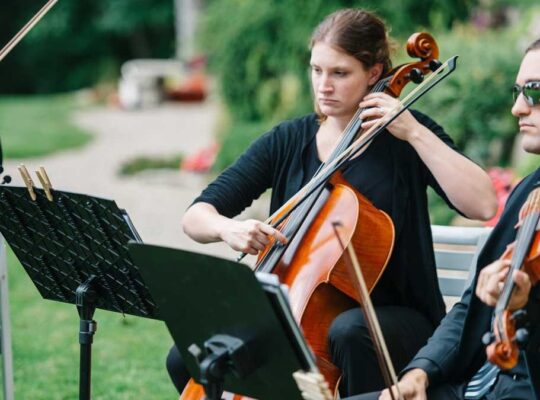 ankara kemancı kiralama fiyatları,0532 154 01 85