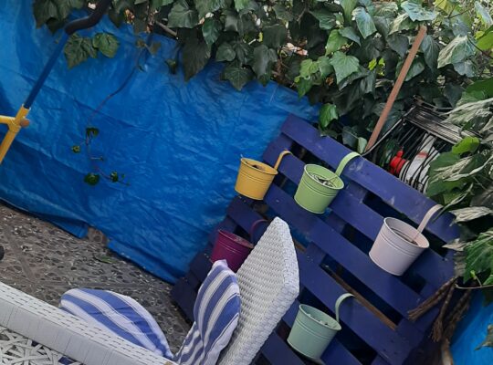 Dizilere reklamlara filme kiralık bahçeli daire