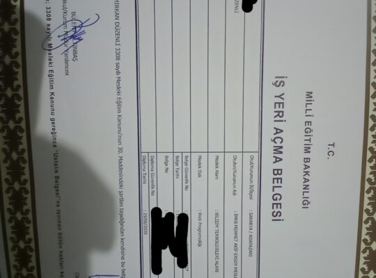 Bilişim teknolojileri alanı