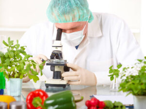 gıda mühendisliği diploması
