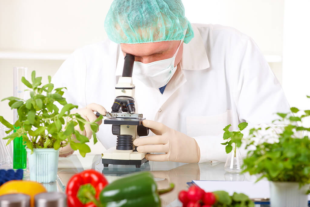 gıda mühendisliği diploması