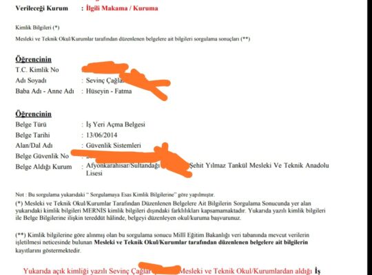 Guvelik sistemleri elektrik ve elektronik
